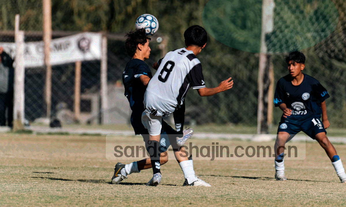 深海蓝版本卡片配金色编号与本季更新标签